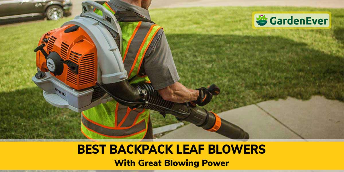 10 Best Backpack Leaf Blowers with Great Blowing Power in 2022