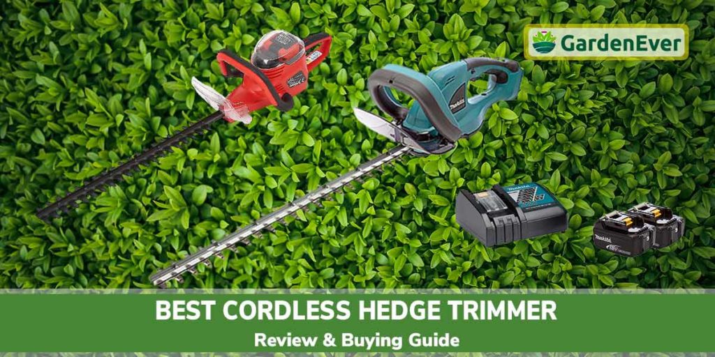 Best Cordless Hedge Trimmer 2022