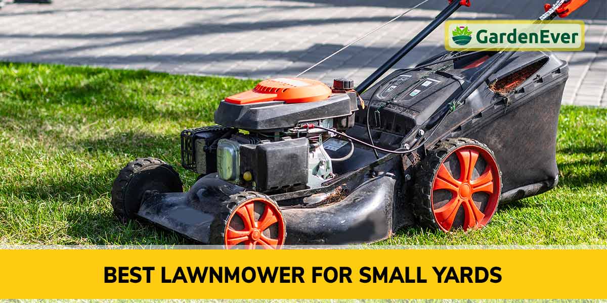 Best Lawnmower for Small Yards 2022