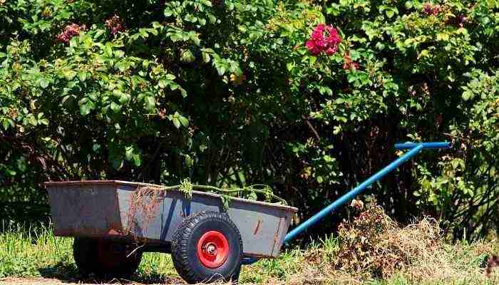 Dumping Garden Cart