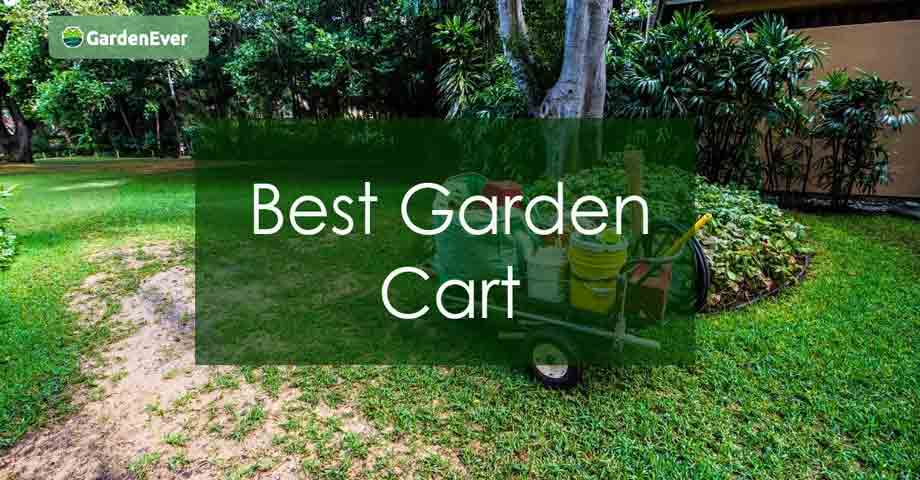 Best Garden Cart in 2022