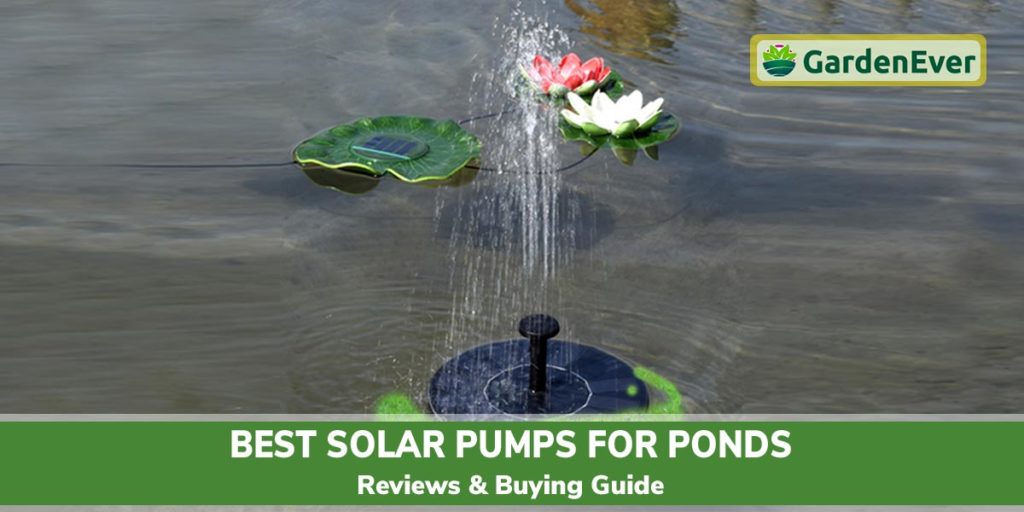 Best Solar Pumps for Ponds