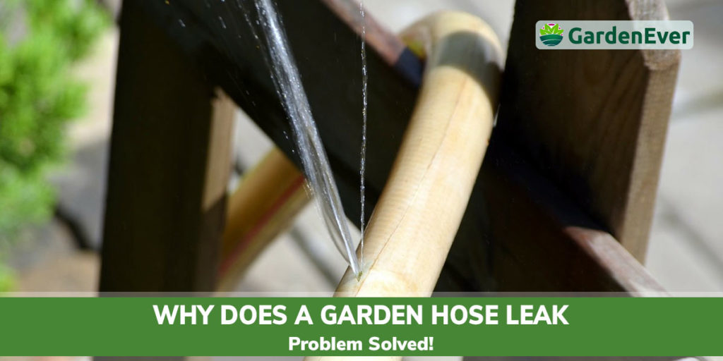 Why does a garden hose leak – How and Why [Problem Solved!]