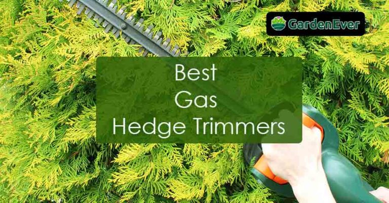 Best Gas Hedge Trimmers
