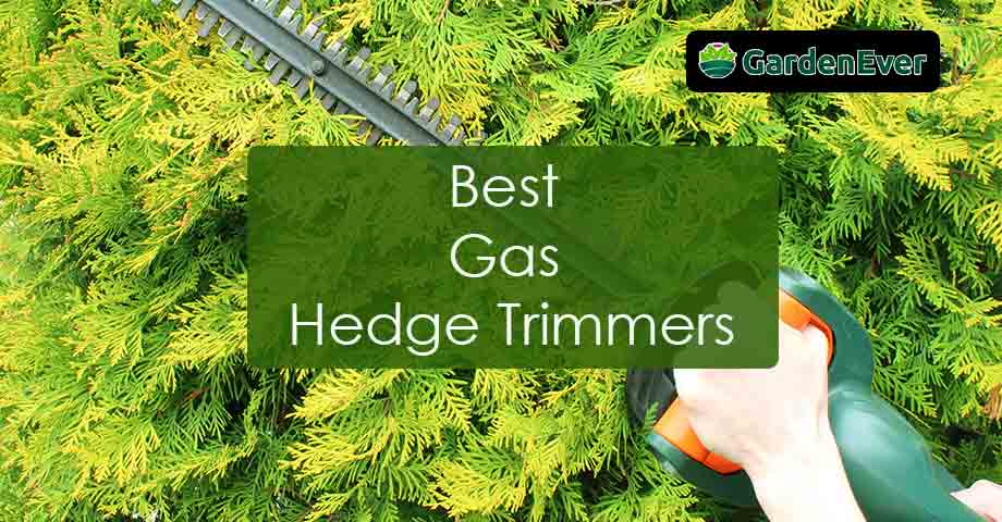 Best Gas Hedge Trimmers of 2023