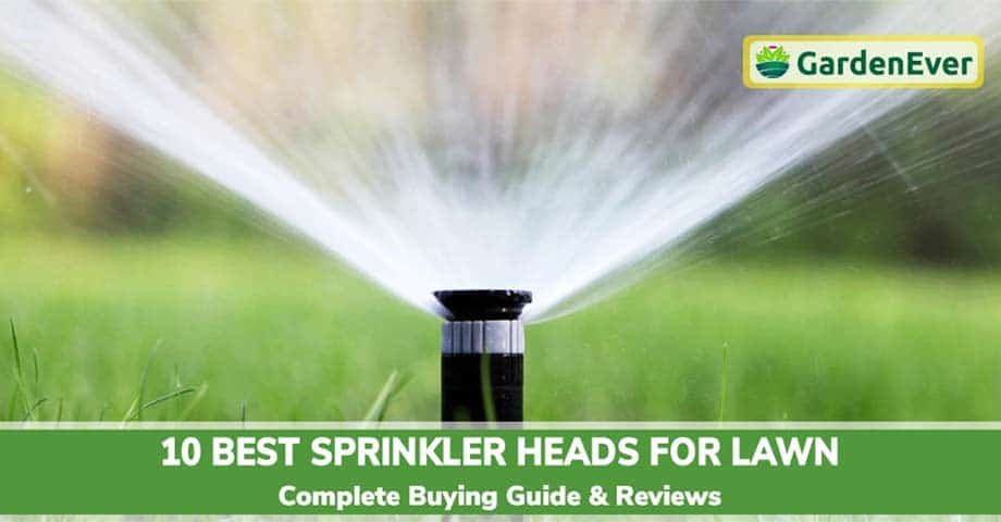 The 10 Best Sprinkler Heads for Lawn in 2022
