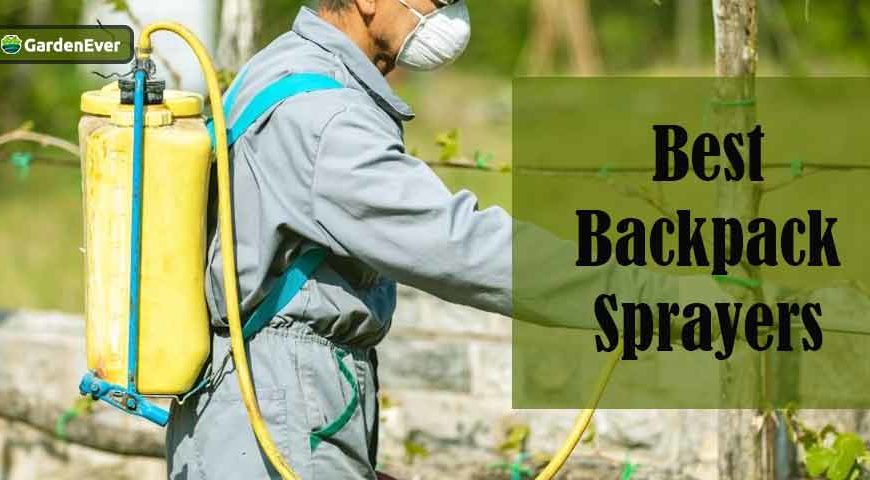 10 Best Backpack Sprayers in 2022 : Product Reviews and Buyers Guide
