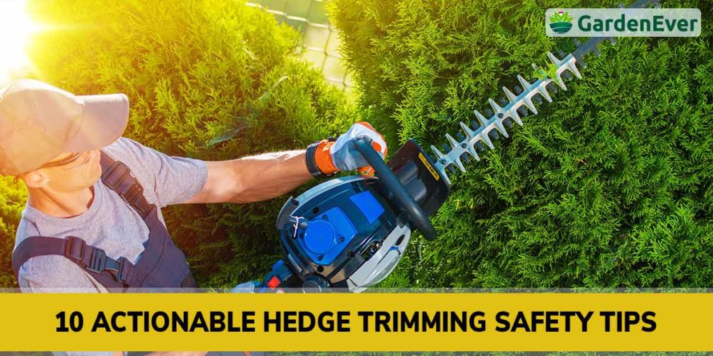 10 Actionable Hedge Trimming Safety Tips That Will Protect You From Danger