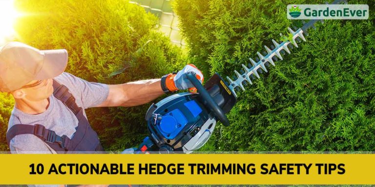 hedge trimming safety tips