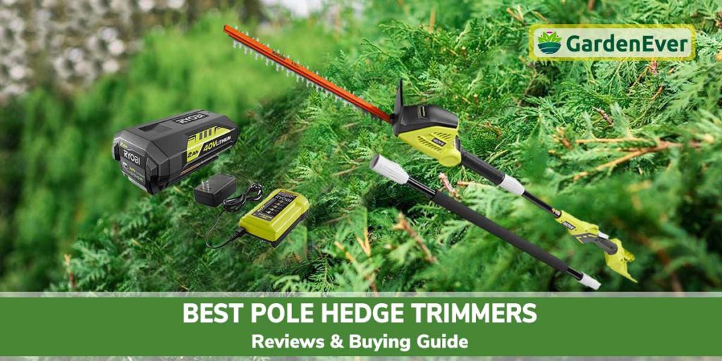 Best Pole Hedge Trimmers of 2022 – Long Reach & Easy Handling