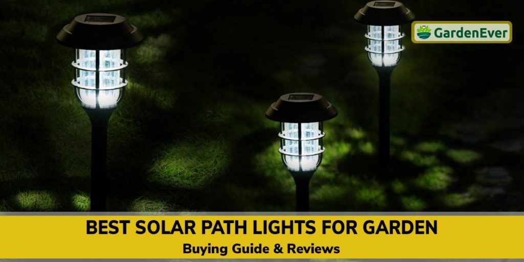 15 Top Best Solar Path Lights For Garden