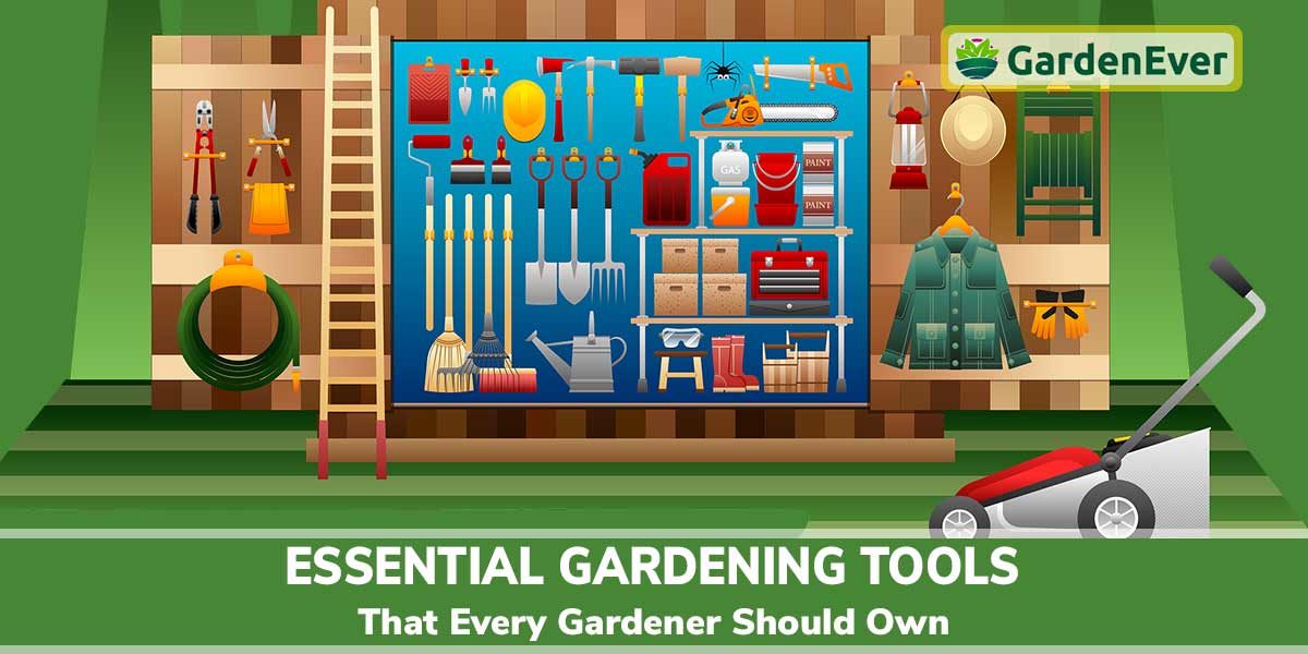 Most Essential Gardening Tools That Every Gardener Should Own.