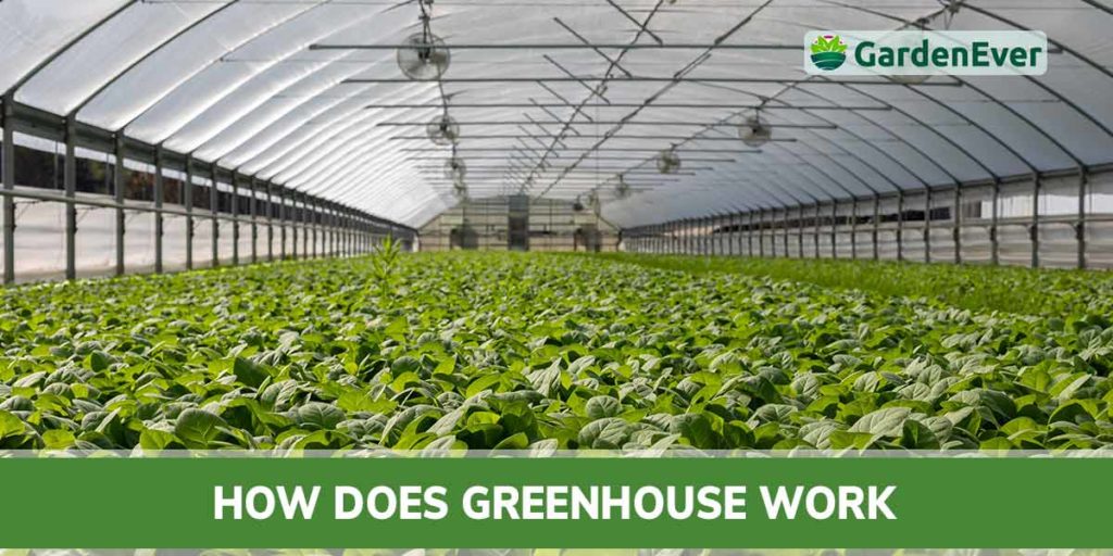 How Does Greenhouse Work?
