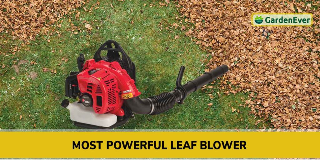 Most Powerful leaf Blower on the Market in 2022