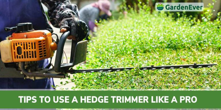 Actionable Tips to Use a Hedge Trimmer like a Pro