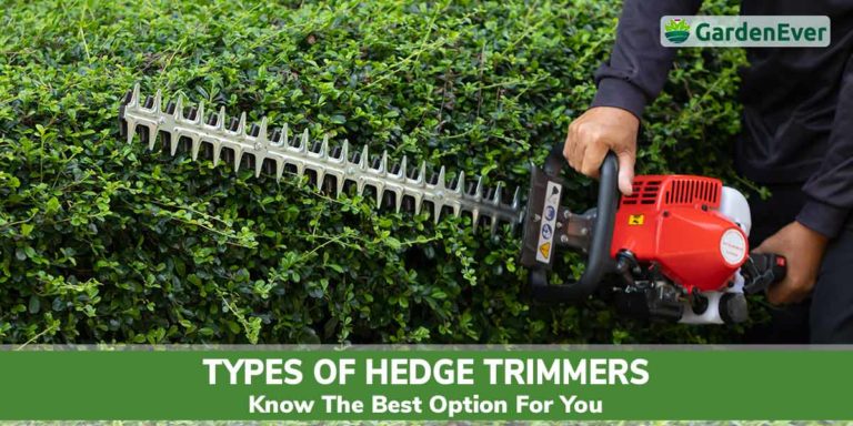 Types of hedge trimmer