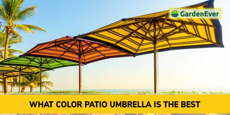 What color patio umbrella is the best