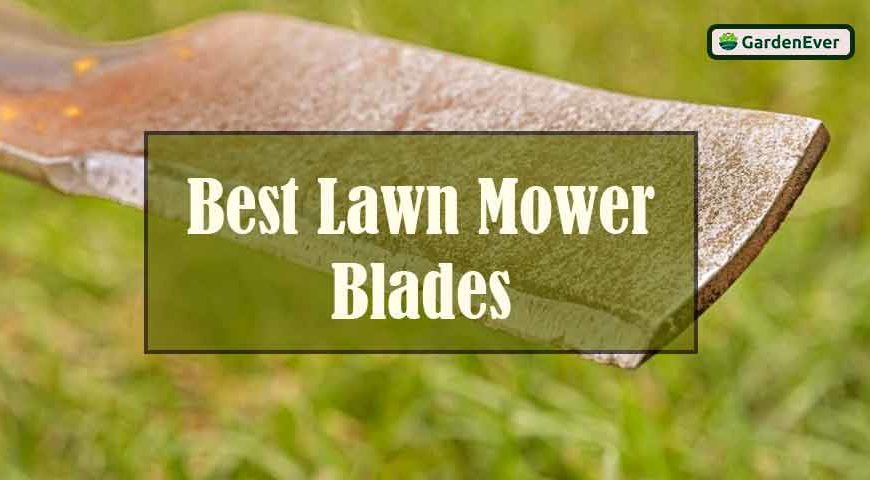 Best Lawn Mower Blades in 2022 : Top Products Review and Definite Buying Guide