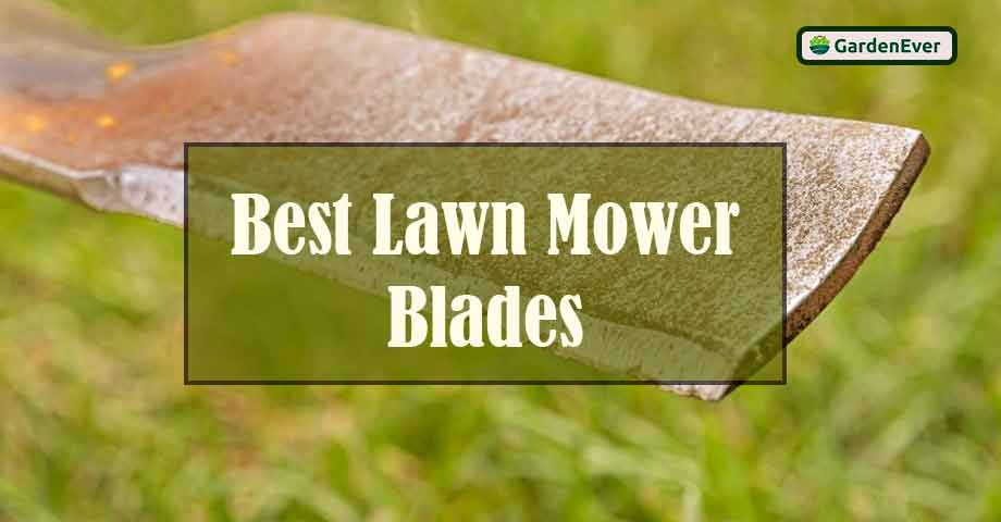 Best Lawn Mower Blades in 2023