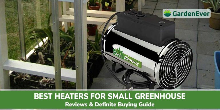 Best Heaters for Small Greenhouse