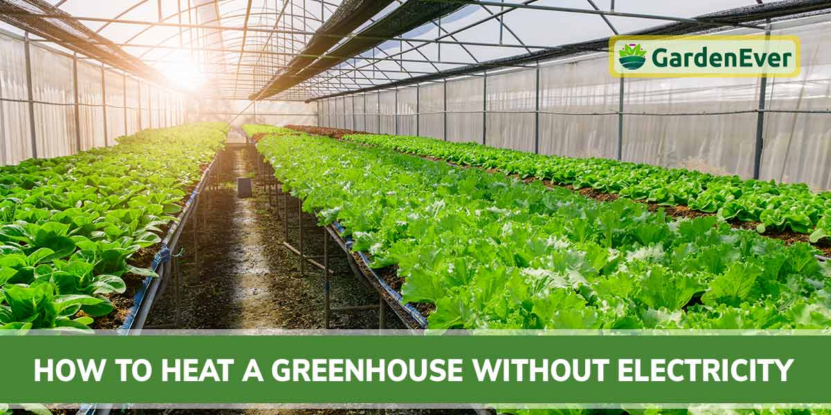 How to Heat A Greenhouse Without Electricity