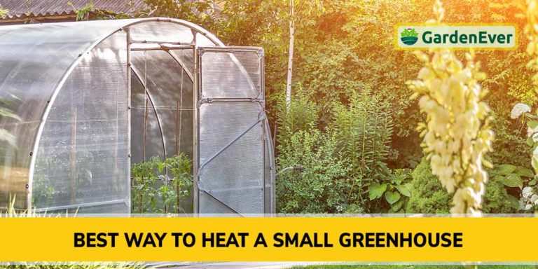 Best Way to Heat a Small Greenhouse