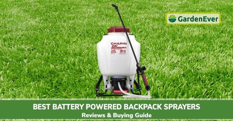 Best Battery Powered Backpack Sprayers