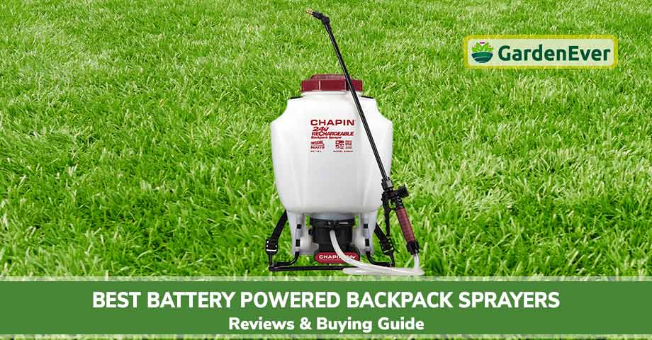 Best Battery Powered Backpack Sprayers in 2022