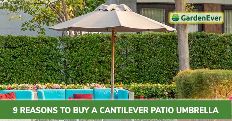 top Reasons to Buy a Cantilever Patio Umbrella