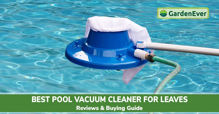 Best Pool Vacuum Cleaner for Leaves in 2022
