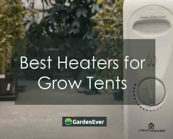 Top 10 Best Heaters for Grow Tents in 2022- Reviews & Buying Guide