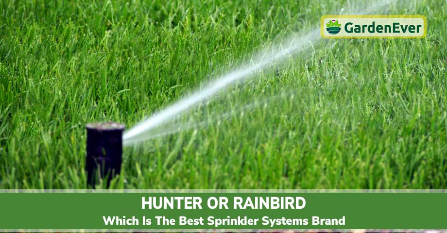 Hunter or RainBird: Which is the Best Sprinkler Systems Brand