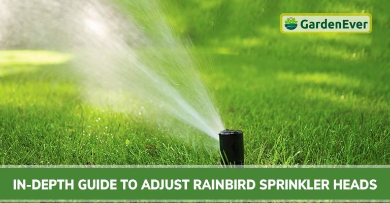 how to adjust Rain Bird Sprinkler Heads
