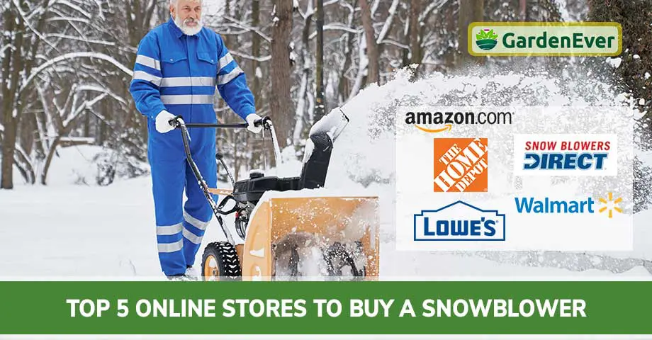 Top 5 Online Stores to Buy a Snowblower