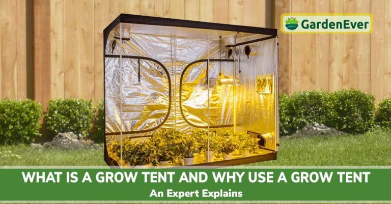 Why Use A Grow Tent