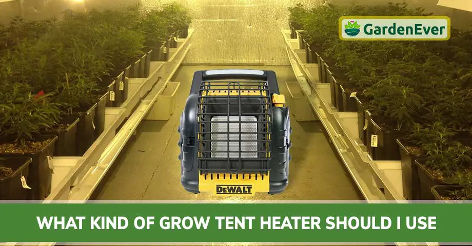 What Kind Of Grow Tent Heater Should I Use