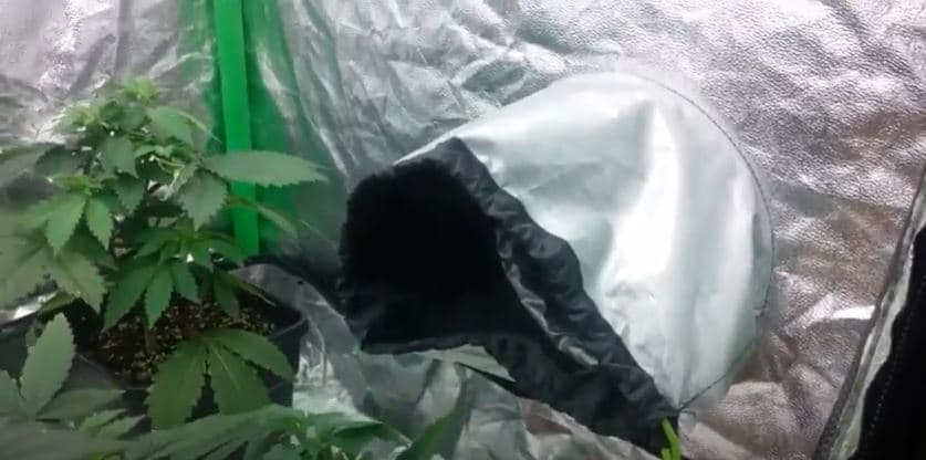 grow tent ventilation