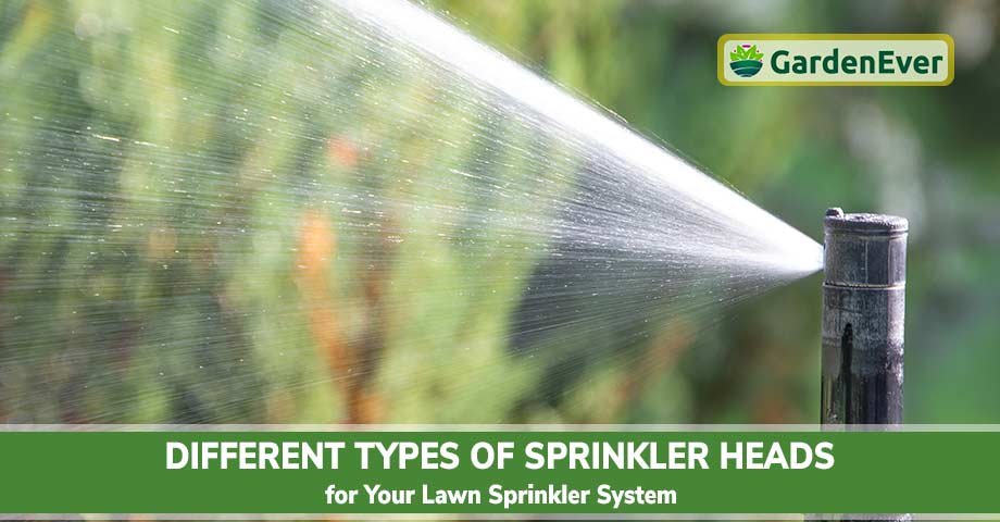 Different Types of Sprinkler Heads for Your Lawn Sprinkler System