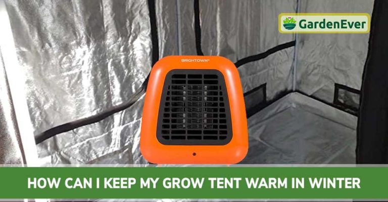 Keeping Grow Tent Warm in Winter