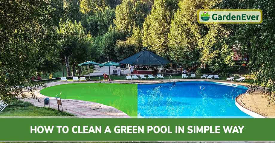 How To Clean A Green Pool In Simple Way