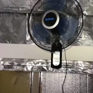 oscillating fan for grow tent