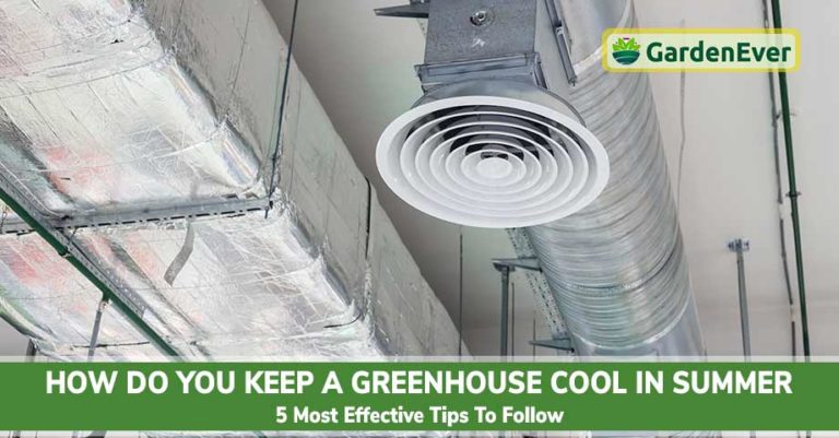 Keep a Greenhouse Cool in Summer