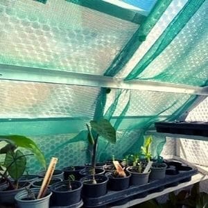 Shading in greenhouse