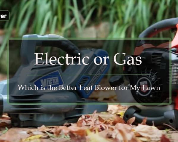 Electric or Gas- Which is the Better Leaf Blower for My Lawn