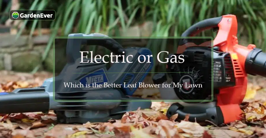 Electric or Gas- Which is the Better Leaf Blower for My Lawn
