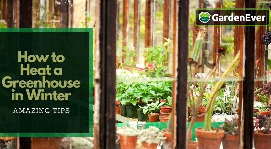 How to Heat a Greenhouse in Winter for Almost Free : 10 Amazing Tips