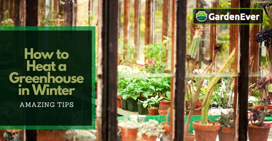 how to heat a greenhouse in winter